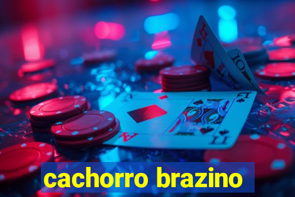 cachorro brazino